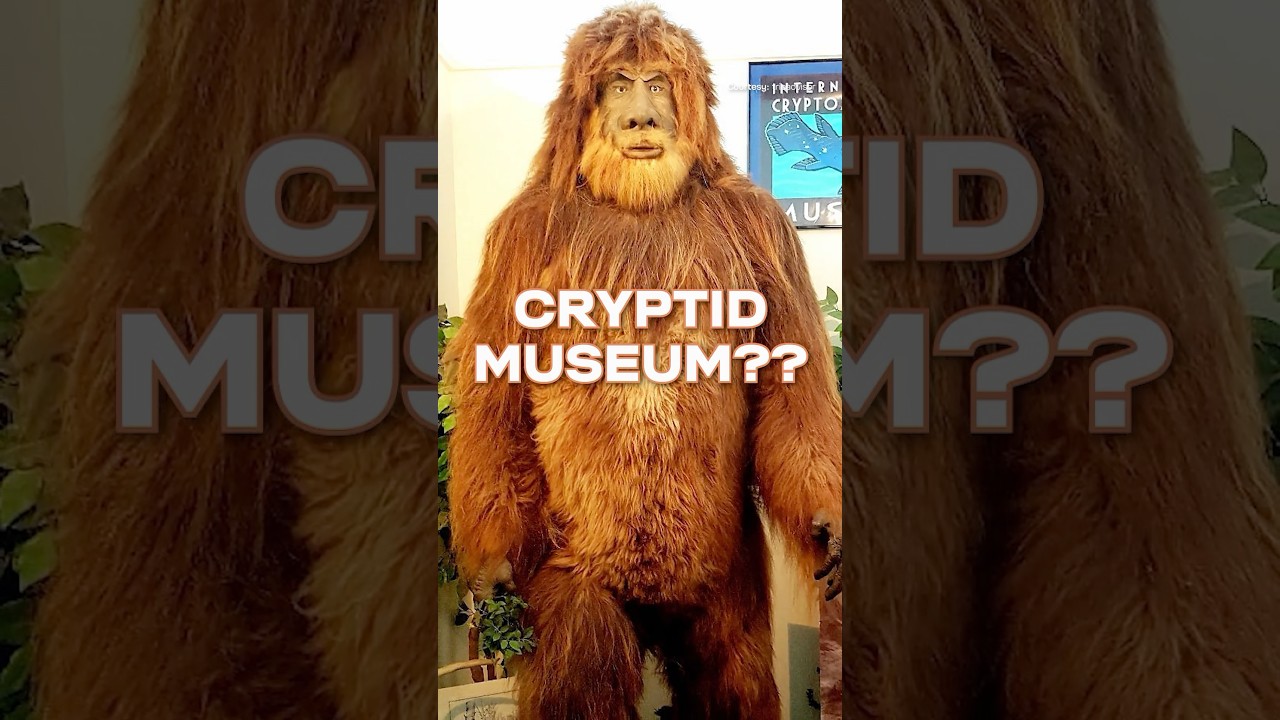 Cryptid Museum in Portland, Maine - YouTube