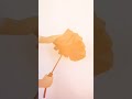 Paraguas Automático!  #moda #paraguas
