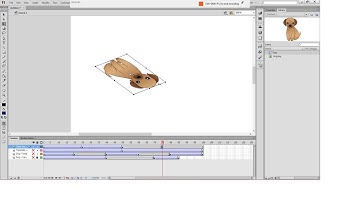 Basic animation in Adobe Flash (CS6) -  Resize Rotate Skew tween