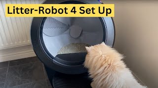 Litter Robot 4 Set Up