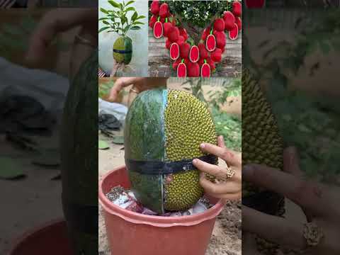 Unique Techniques For