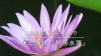 Gospellesson Youtube Gospellesson Youtube