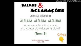 Vídeo de ALELUIA - PERMANECE FIEL ATÉ A MORTE (Salmos e Aclamações - D.R)