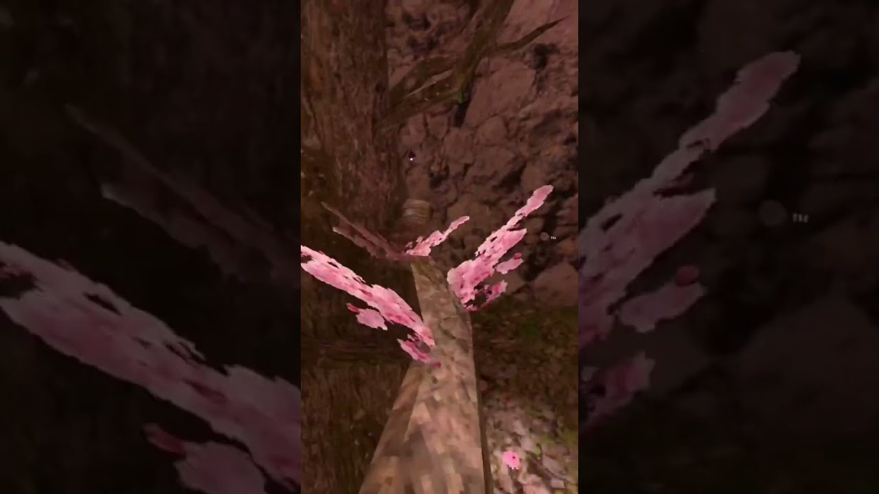 OK What Is It 