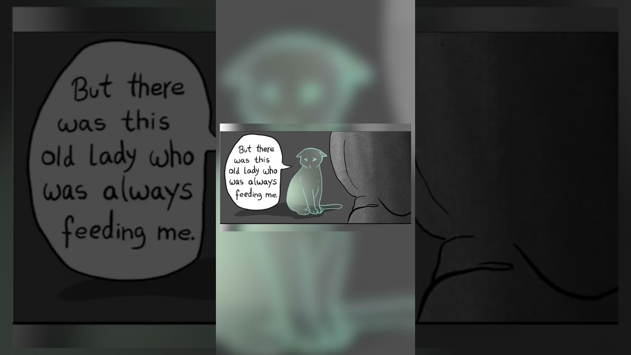 Black Cats (Sad Animal Comic Dubs)