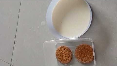 English assignment "how to make something"