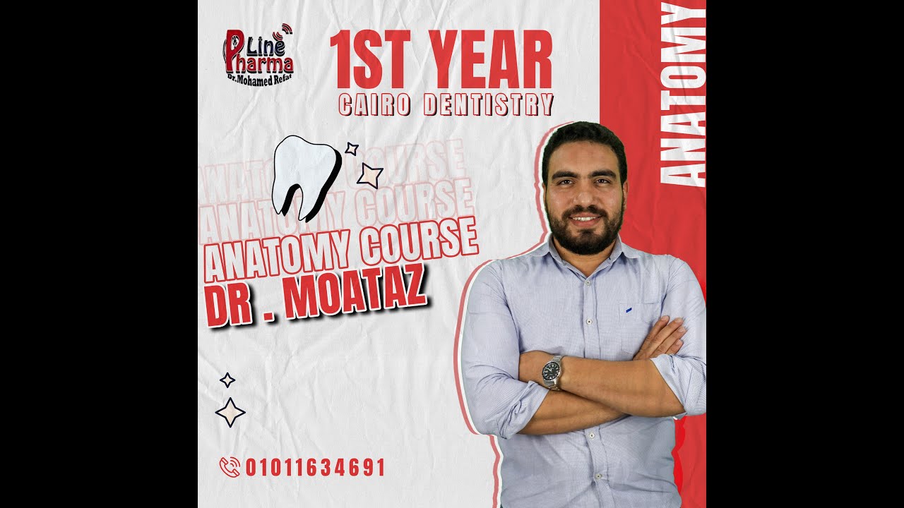 Anatomy L2 - Skin & Fascia