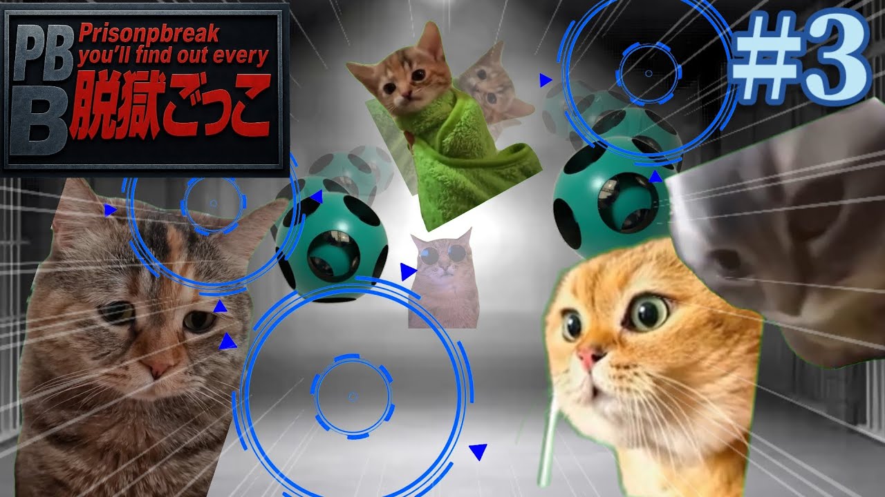 【猫ミーム】脱獄ごっこをすることになった猫たちの物語 第3話