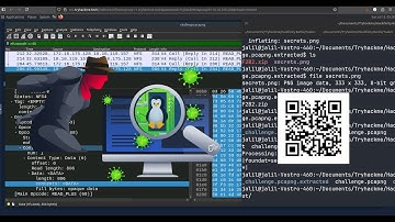 TryHackMe Stolen Mount | NFS | From Wireshark PCAP to QR Code Flag!