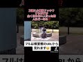 【逮捕案件】間違えて見知らぬヤンキーに小麦粉ぶちまけてしまった...#Shorts