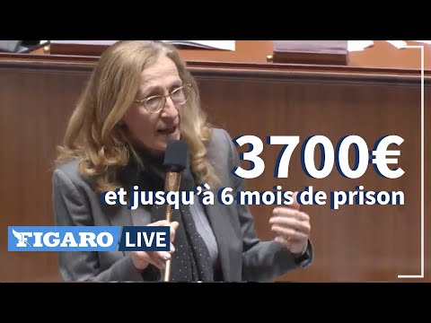 Confinement: amendes alourdies et PRISON pour les contrevenants votées à l'Assemblée nationale Confinement: amendes alourdies et PRISON pour les contrevenants votées à l'Assemblée nationale