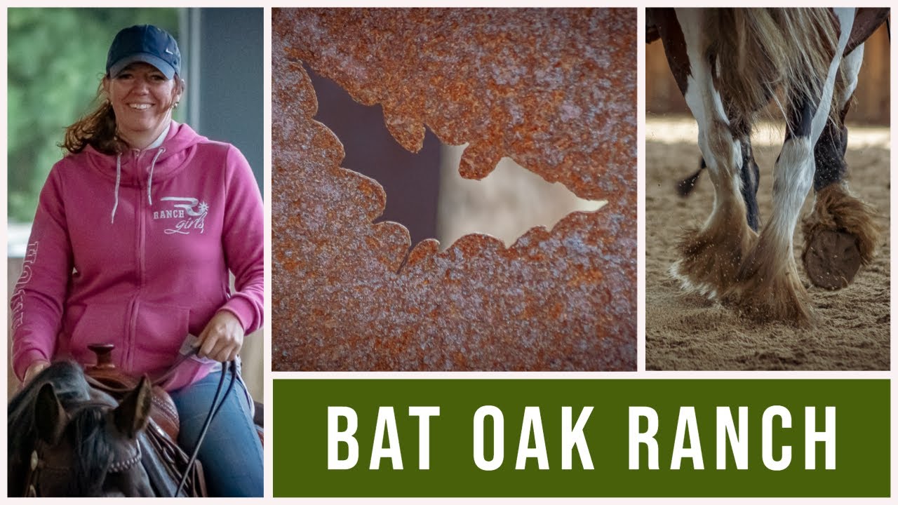 KURS HANNOVER Winsen Bat Oak Ranch YouTube