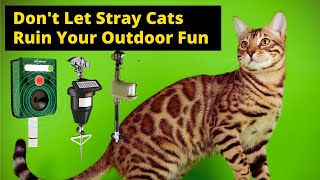 Best Outdoor Cat Repellent Don't Let Stray Cats Ruin Your Outdoor Fun