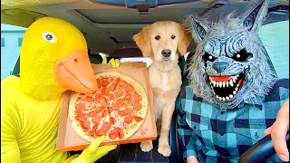 Wolf Surprises Rubber Ducky & Puppy With Pizza Car Ride Chase!
