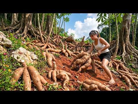 ¡Cosecha de 880+ Kg de Yuca Mutante en el Bosque y Venta en el Mercado