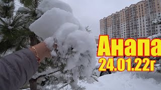 Анапа. У нас снег.  24.01.22г.