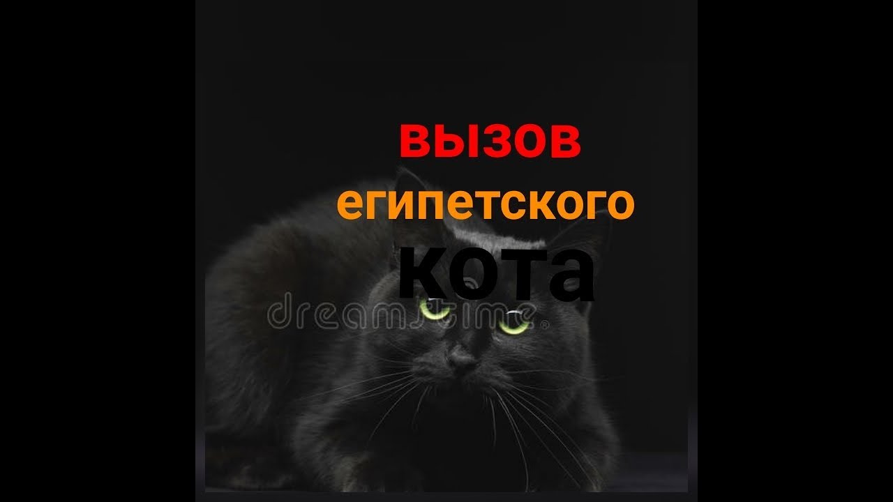 Как выглядит египетский кот дух
