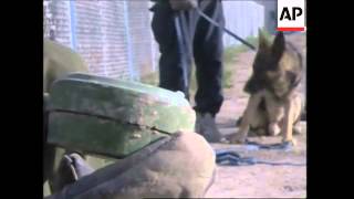 German mine-detector dogs trained for mission