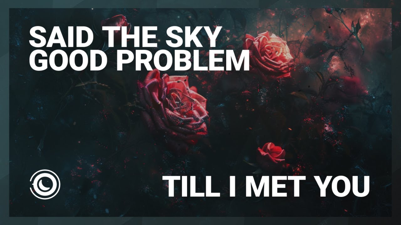 Said The Sky & good problem - Till I Met You - YouTube