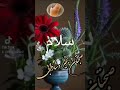 سلام علیکم ورحمت الله وبرکاته صباح الخیر جمعیا سلام علیکم ورحمت الله وبرکاته صباح الخیر جمعیا