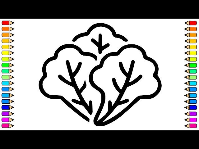 Cómo dibujar una LECHUGA / Dibujo de LECHUGA paso a paso / Dibujos para niños - YouTube c-mo-dibujar-una-lechuga-dibujo-de-lechuga-paso-a-paso-dibujos-para-ni-os-youtube