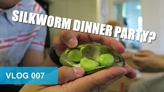 SILKWORM DINNER PARTY.
