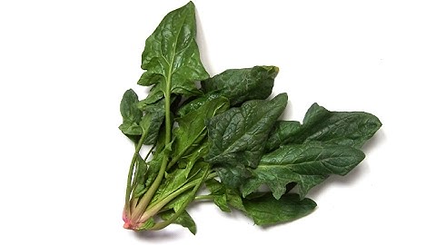 Discovery sorting solution for Frozen Spinaches | RAYTEC VISION SpA