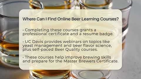 Where Can I Find Online Beer Learning Courses? - The Pint Guy