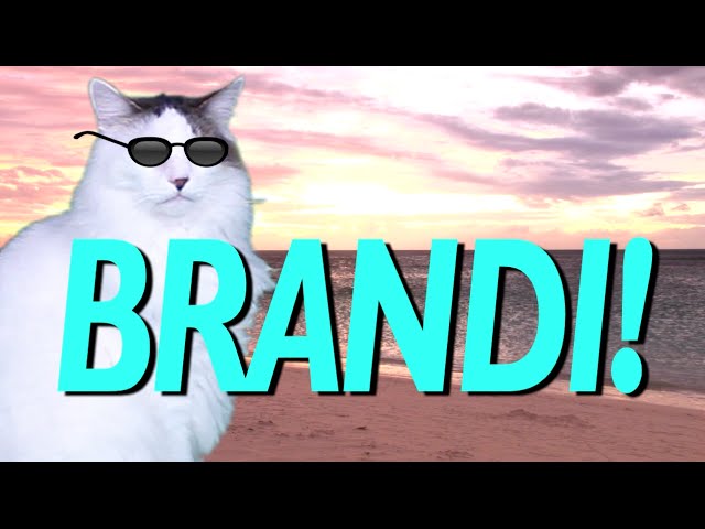 HAPPY BIRTHDAY BRANDI! - EPIC CAT Happy Birthday Song