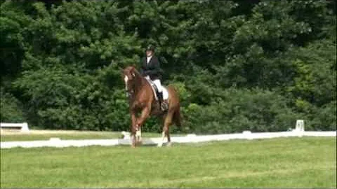 Diego at UNH dressage show June 2010