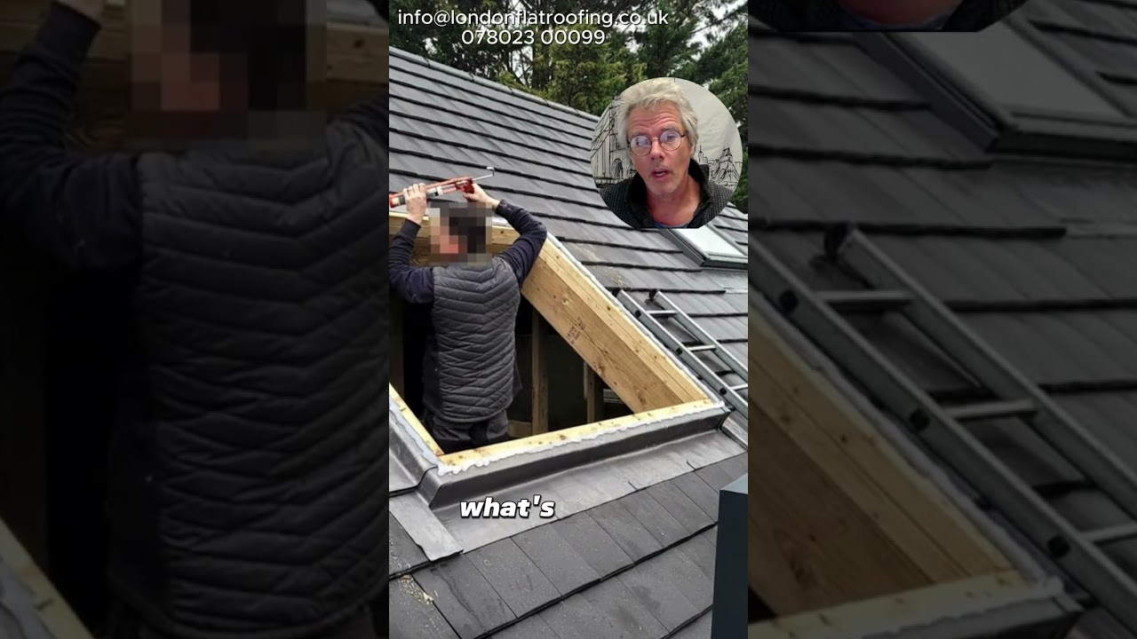 What's wrong with this skylight?