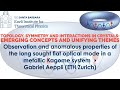 Observation and anomalous properties of the long sought flat... ▸ Gabriel Aeppli (ETH Zurich)