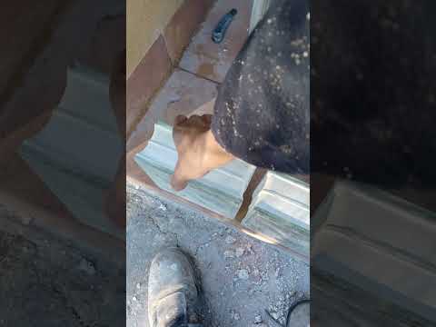 🎬 Video con opiniones sobre Bloques De Vidrio Bricomart