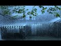 Sleep Immediately with Awful Hurricane, Powerful Rain, Heavy Wind, Thunder Sounds at Stormy Night