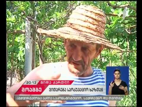 რუსმა სამხედროებმა ყარაფილაში  საოკუპაციო ხაზი ხნულებით მონიშნეს