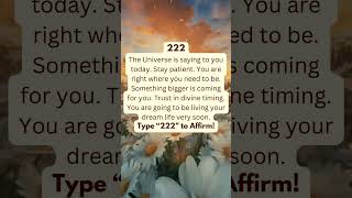 Angel Numbers 222: Transforming Negatives to Power, Abundance, Wisdom! Get Ready for Blessings