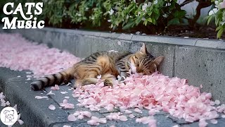 Calming Music for Cats that Gives Comfort, Anxiety Relief - Relaxing Sleep Music with Purring Sounds by Peaceful Pet Piano 667 views 4 days ago 12 hours