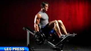 Powertec Compact Leg Sled @ FitnessXpress.com.au