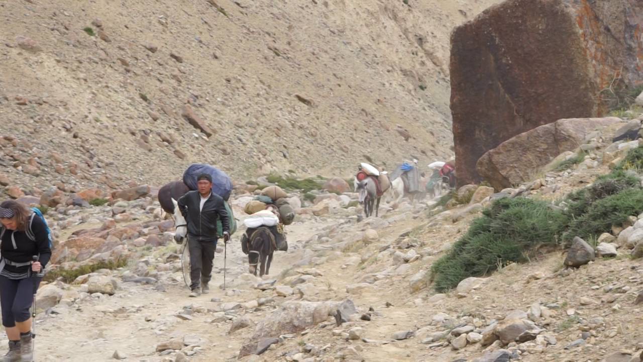 Ladakh - Markha Valley Trek - Nimaling