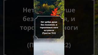 #Притчи 19:2 #Библия #СтихДня
