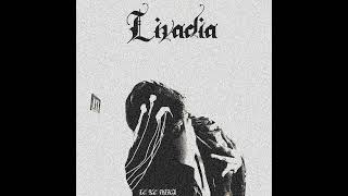 Livadia - IC XC NIKA (atmospheric/keyboard/black metal)