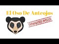 Oso de Anteojos (En peligro de extinción)