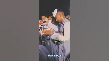 الفنان بلة ود الاشبية ي زول ي زول 