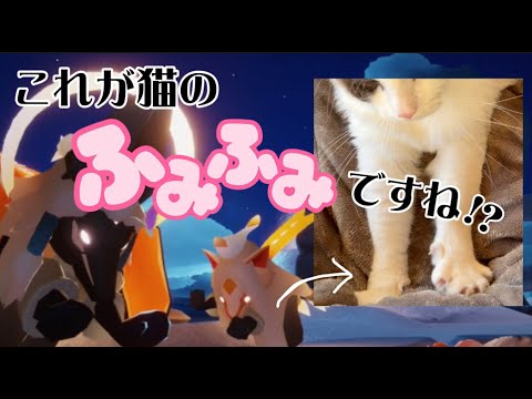【完全一致】猫のふみふみで癒されたい※リアル猫注意【sky星を紡ぐ子どもたち】
