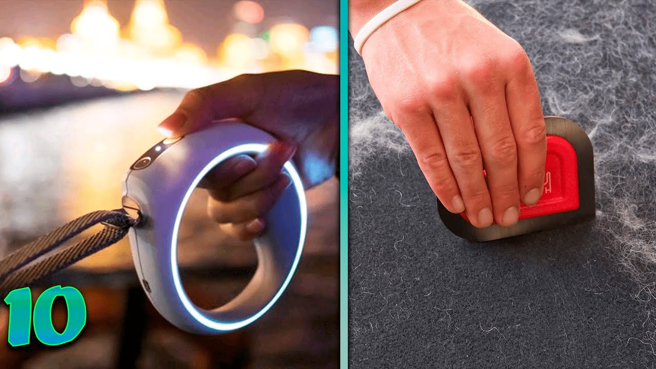 TOP 10 Pet Gadgets from eBay and Aliexpress. Cool products for cats and dogs