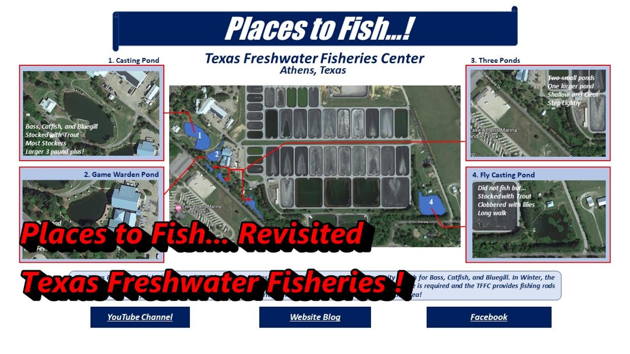 Places to Fish... Revisited Texas Freshwater Fisheries Center! YouTube