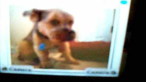 Nintendo DSI Firmware Facebook Update