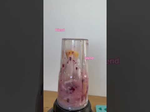 Video: DIY EAT - Blueberry Pupsicles