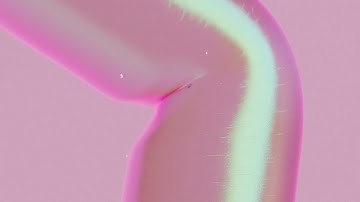 Mardini 2024 | Day 19 - Joint Capture Biharmonic