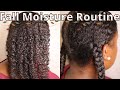 How I Moisturize My Fine Low Porosity Natural Hair | Fall Moisture Routine + Natural Hair Tips